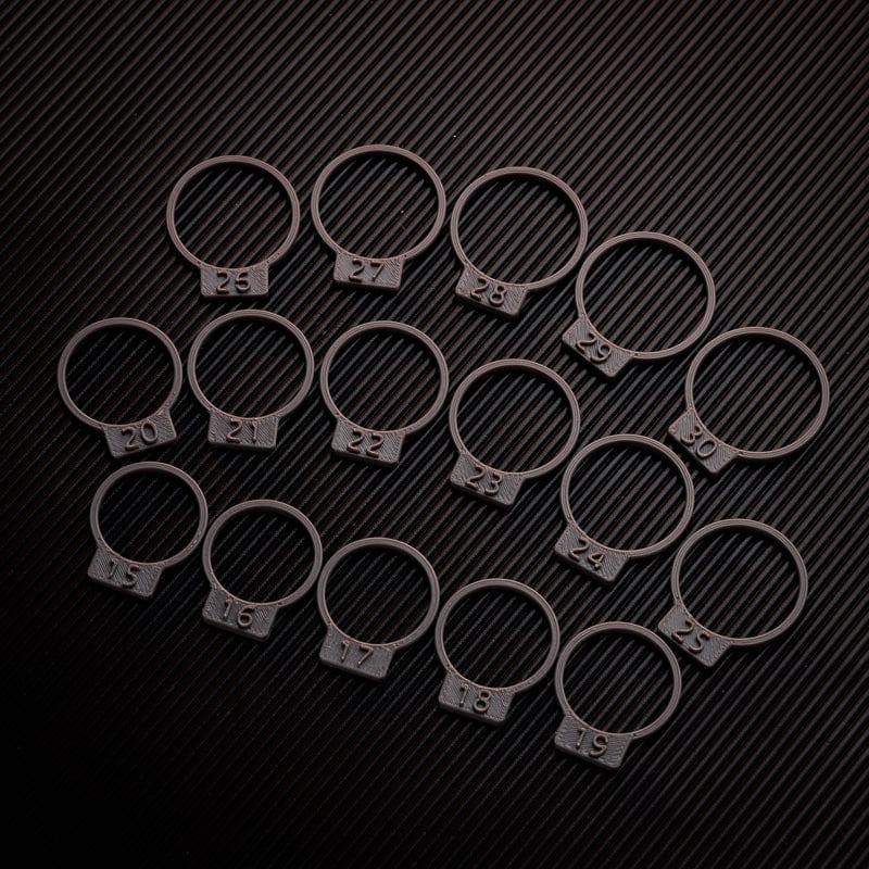 YEDC Fidget Slider Pig Ring